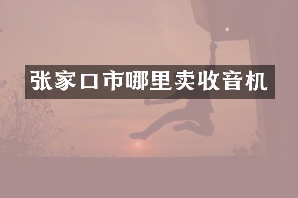 张家口市哪里卖收音机