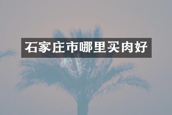 石家庄市哪里买肉好