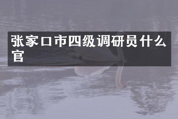张家口市四级调研员什么官