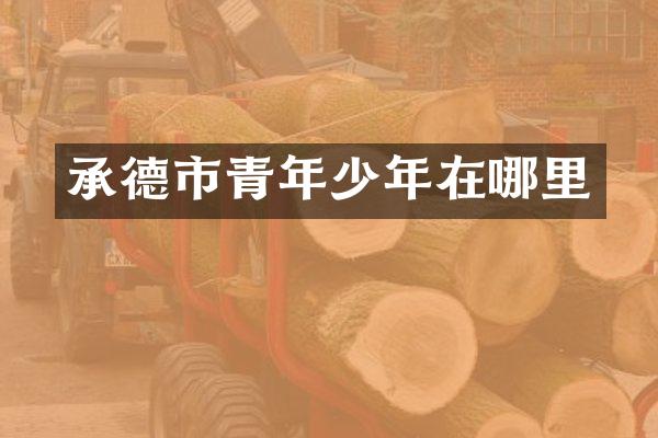 承德市青年少年在哪里