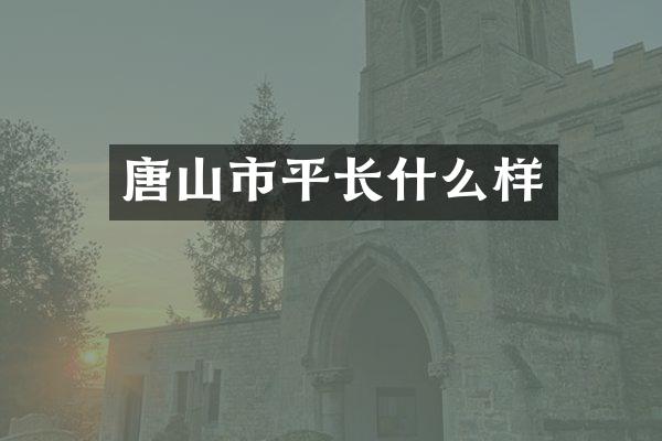唐山市平长什么样