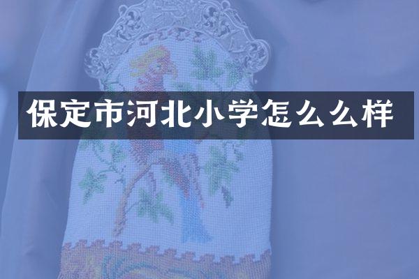 保定市河北小学怎么么样