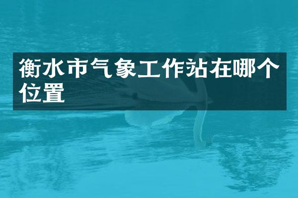 衡水市气象工作站在哪个位置