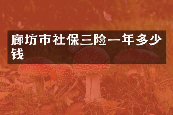 廊坊市社保三险一年多少钱