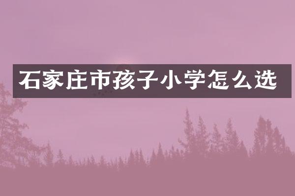 石家庄市孩子小学怎么选
