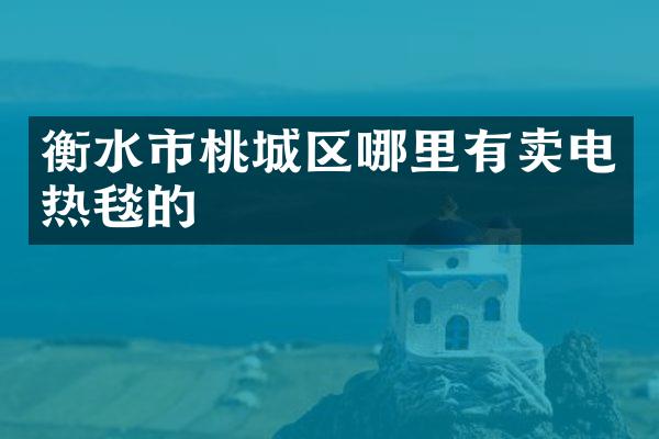 衡水市桃城区哪里有卖电热毯的