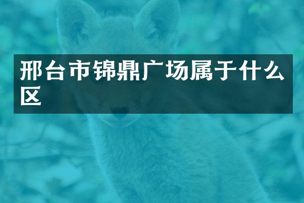 邢台市锦鼎广场属于什么区