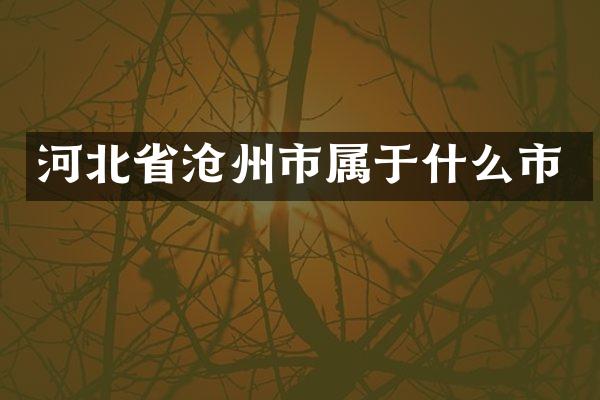 河北省沧州市属于什么市