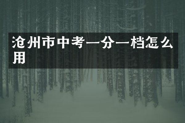 沧州市中考一分一档怎么用