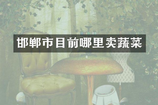 邯郸市目前哪里卖蔬菜