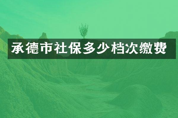 承德市社保多少档次缴费