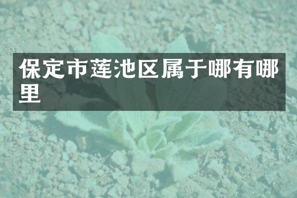 保定市莲池区属于哪有哪里