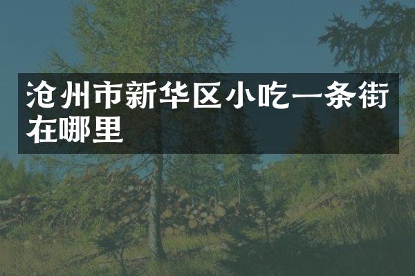 沧州市新华区小吃一条街在哪里