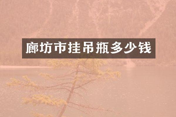 廊坊市挂吊瓶多少钱