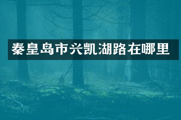 秦皇岛市兴凯湖路在哪里