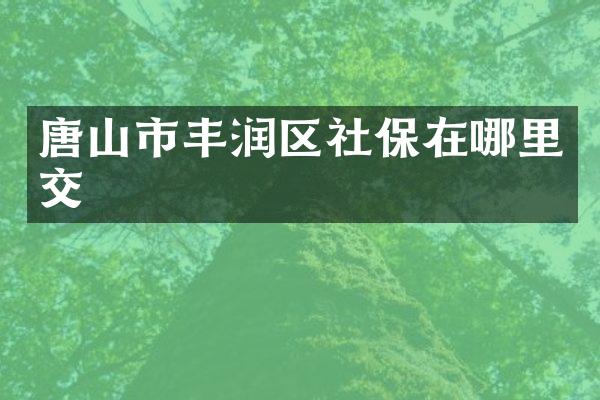 唐山市丰润区社保在哪里交