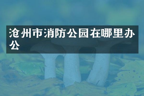 沧州市消防公园在哪里办公