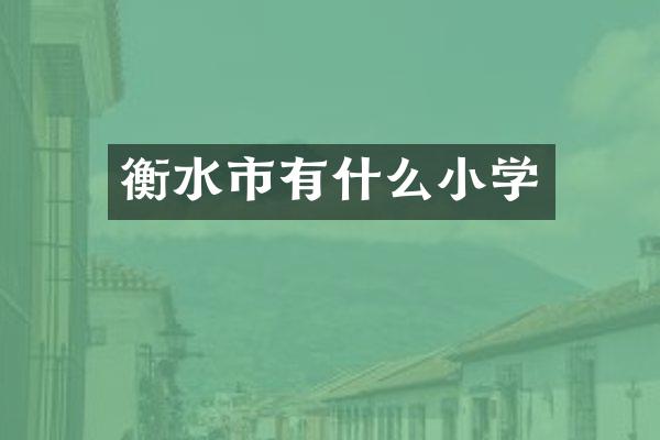 衡水市有什么小学