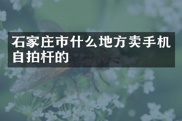 石家庄市什么地方卖手机自拍杆的