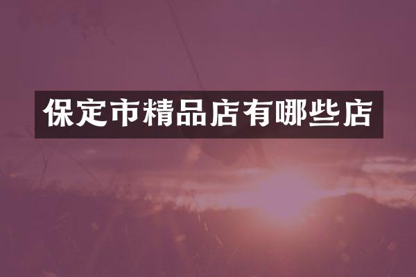 保定市精品店有哪些店