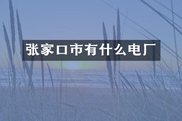 张家口市有什么电厂