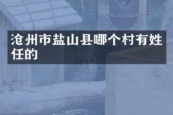沧州市盐山县哪个村有姓任的