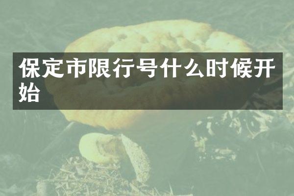 保定市限行号什么时候开始