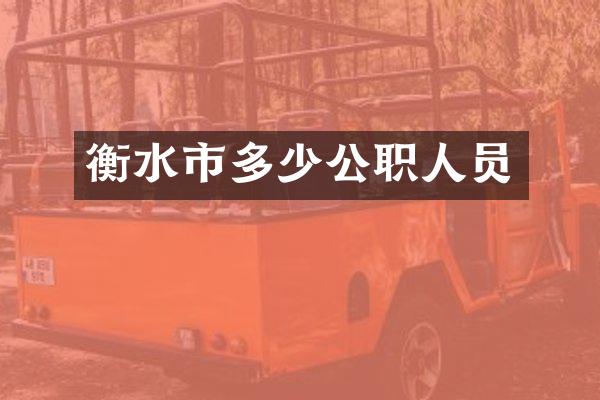衡水市多少公职人员