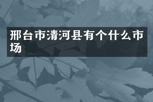 邢台市清河县有个什么市场