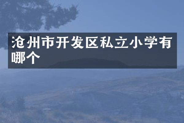 沧州市开发区私立小学有哪个