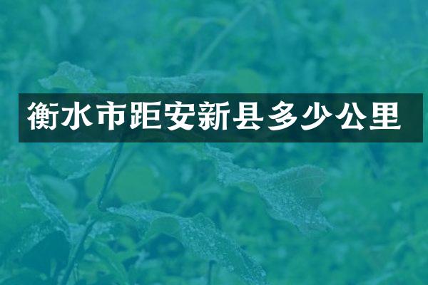 衡水市距安新县多少公里