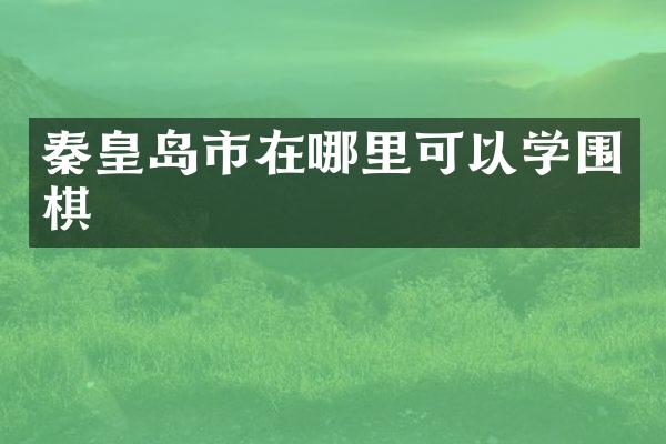 秦皇岛市在哪里可以学围棋
