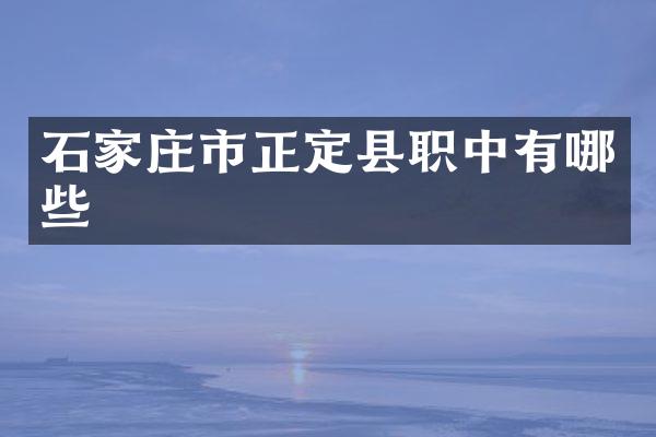 石家庄市正定县职中有哪些