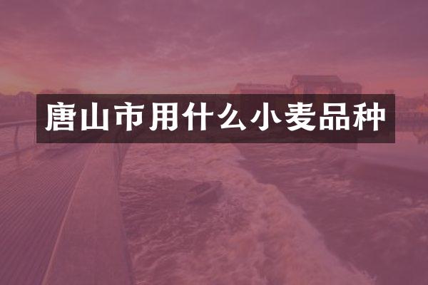 唐山市用什么小麦品种