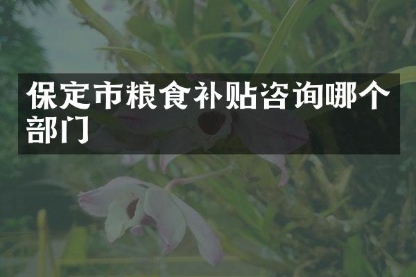 保定市粮食补贴咨询哪个部门