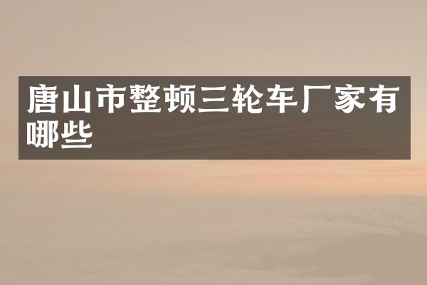 唐山市整顿三轮车厂家有哪些