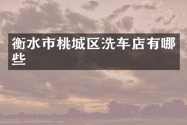 衡水市桃城区洗车店有哪些