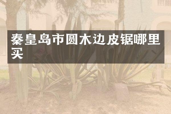 秦皇岛市圆木边皮锯哪里买