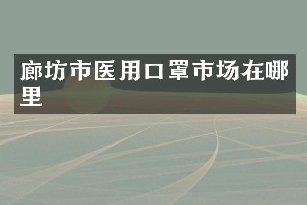廊坊市医用口罩市场在哪里