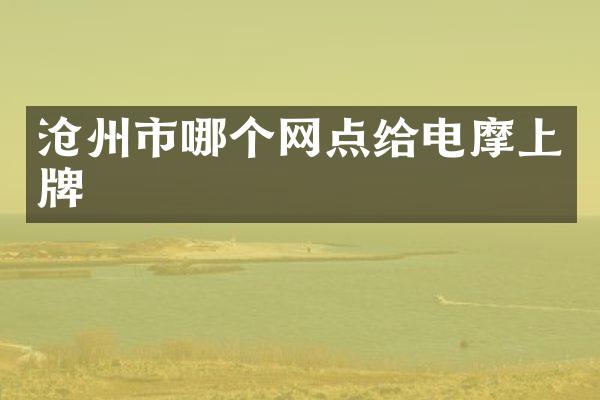沧州市哪个网点给电摩上牌