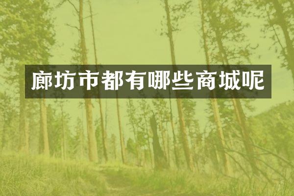 廊坊市都有哪些商城呢