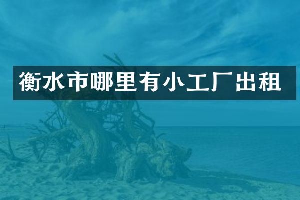 衡水市哪里有小工厂出租
