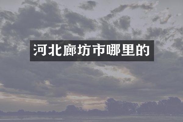河北廊坊市哪里的