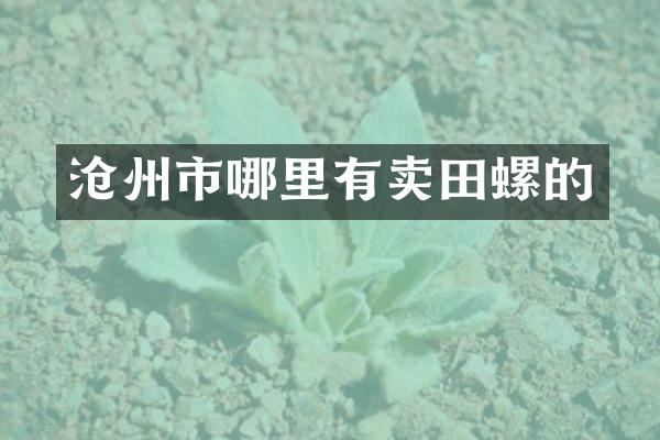 沧州市哪里有卖田螺的