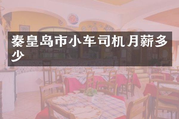 秦皇岛市小车司机月薪多少
