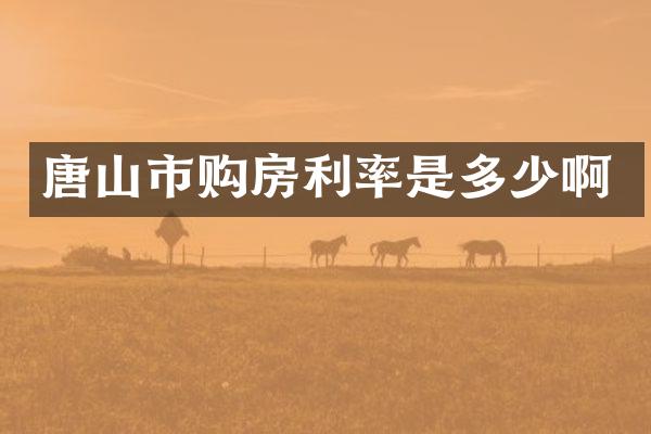 唐山市购房利率是多少啊