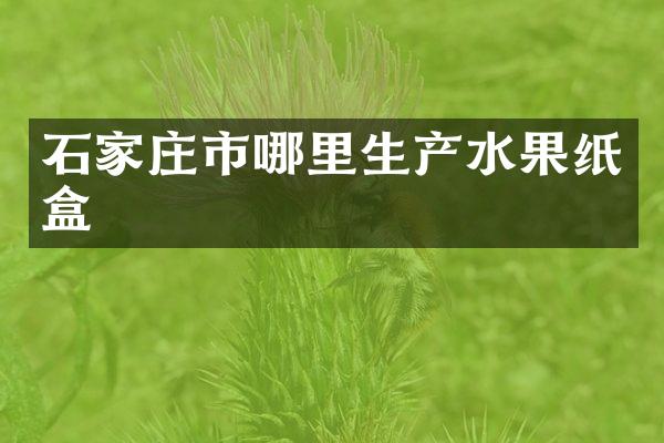 石家庄市哪里生产水果纸盒