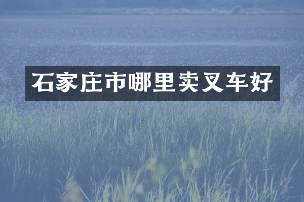 石家庄市哪里卖叉车好