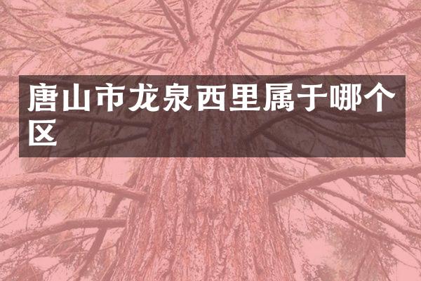 唐山市龙泉西里属于哪个区