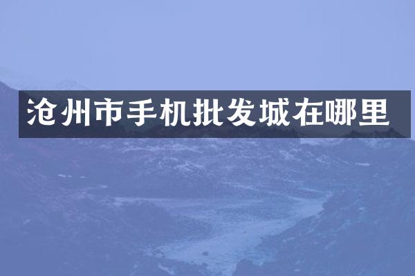 沧州市手机批发城在哪里
